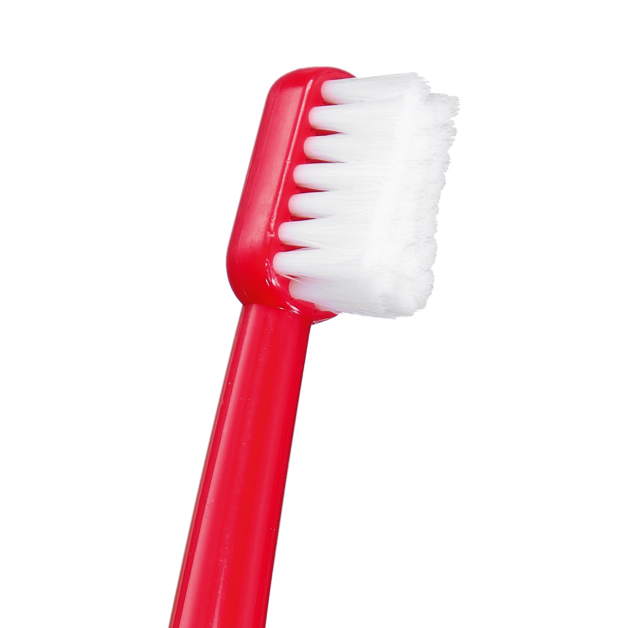 מברשת שיניים לאחר ניתוח CS Surgical