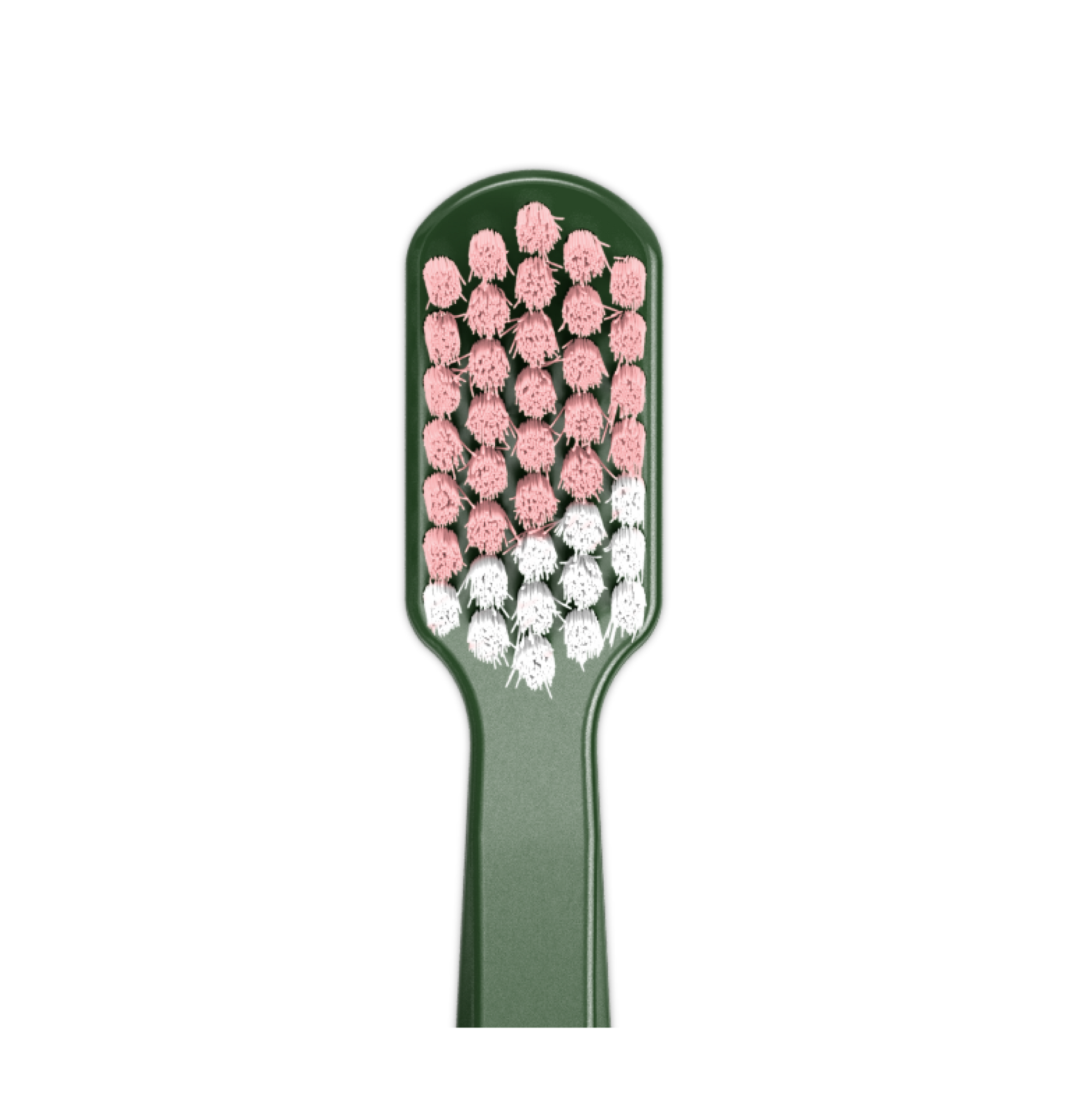 המהדורה הירוקה, מארז 2 יחידות CS 5460